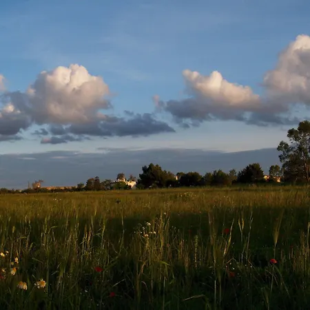 Masseria La Torre Farm stay Maglie