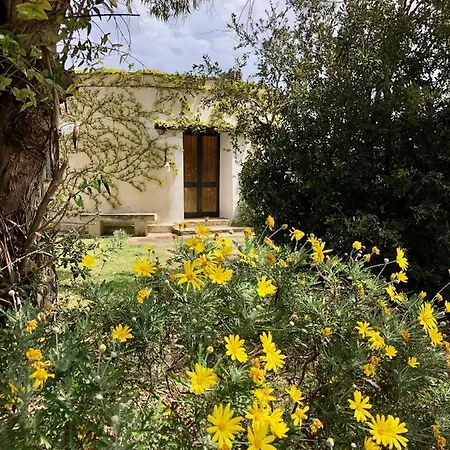 Masseria La Torre Farm stay *